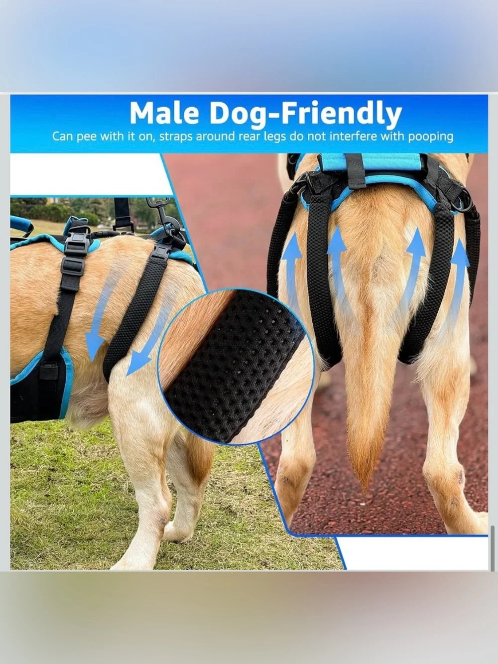 Dog Lift Harness for Large Male Dogs, 2-in-1, Back Leg Support & Mobility Assist